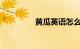 黄瓜英语怎么说知识介绍