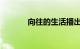 向往的生活播出时间知识介绍