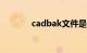 cadbak文件是什么知识介绍