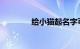 给小猫起名字可爱知识介绍