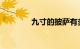 九寸的披萨有多大知识介绍