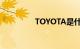 TOYOTA是什么知识介绍