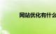 网站优化有什么含义知识介绍