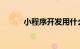 小程序开发用什么语言知识介绍