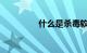 什么是杀毒软件知识介绍