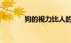 狗的视力比人的好吗知识介绍