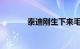 泰迪刚生下来毛卷吗知识介绍