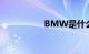 BMW是什么知识介绍