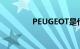 PEUGEOT是什么知识介绍