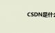 CSDN是什么知识介绍