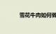 雪花牛肉如何做好吃知识介绍