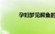 孕妇梦见鳄鱼的意思知识介绍