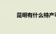 昆明有什么特产可带走知识介绍