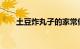 土豆炸丸子的家常做法大全知识介绍