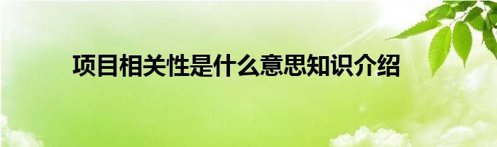 项目相关性是什么意思知识介绍