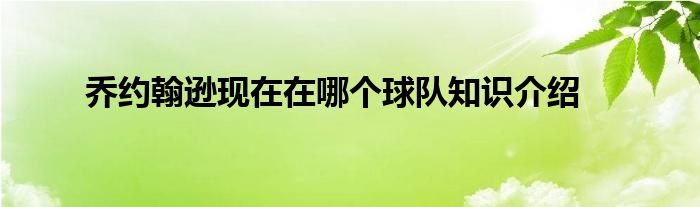 乔约翰逊现在在哪个球队知识介绍