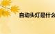 自动头灯是什么意思知识介绍