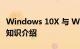 Windows 10X 与 Windows 10 有什么区别知识介绍