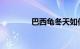 巴西龟冬天如何养知识介绍