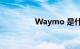 Waymo 是什么知识介绍