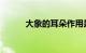 大象的耳朵作用是什么知识介绍