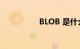 BLOB 是什么知识介绍