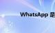 WhatsApp 是什么知识介绍