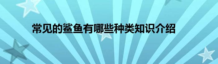 常见的鲨鱼有哪些种类知识介绍