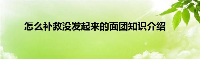 怎么补救没发起来的面团知识介绍