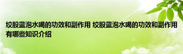 绞股蓝泡水喝的功效和副作用 绞股蓝泡水喝的功效和副作用有哪些知识介绍