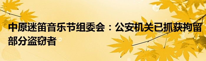 中原迷笛音乐节组委会：公安机关已抓获拘留部分盗窃者