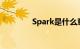 Spark是什么意思知识介绍
