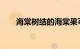 海棠树结的海棠果可以吃吗知识介绍