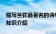 描写兰花最著名的诗句 描写兰花的诗句精选知识介绍
