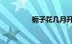 栀子花几月开花知识介绍