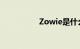 Zowie是什么知识介绍