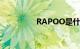 RAPOO是什么知识介绍