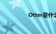 Otter是什么知识介绍