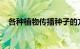 各种植物传播种子的方法有哪些知识介绍
