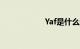 Yaf是什么知识介绍