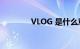 VLOG 是什么意思知识介绍