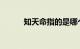 知天命指的是哪个年龄知识介绍