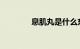 息肌丸是什么东西知识介绍