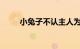 小兔子不认主人为什么呀知识介绍