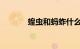 蝗虫和蚂蚱什么区别知识介绍