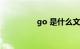 go 是什么文件知识介绍