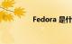 Fedora 是什么知识介绍