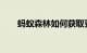 蚂蚁森林如何获取更多能量知识介绍
