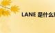 LANE 是什么意思知识介绍