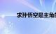 求孙悟空是主角的小说知识介绍